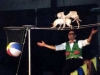 dog-show