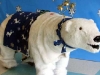 polar-bear